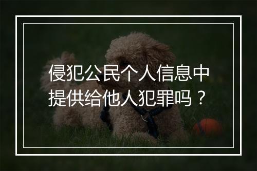 侵犯公民个人信息中提供给他人犯罪吗？