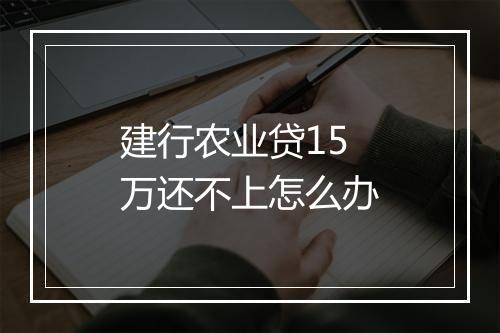 建行农业贷15万还不上怎么办