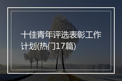 十佳青年评选表彰工作计划(热门17篇)
