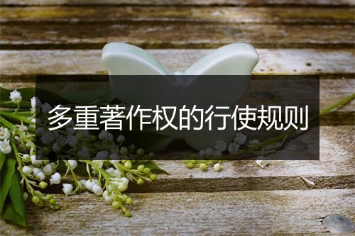 多重著作权的行使规则