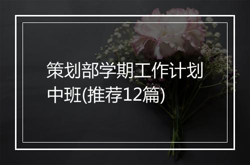 策划部学期工作计划中班(推荐12篇)
