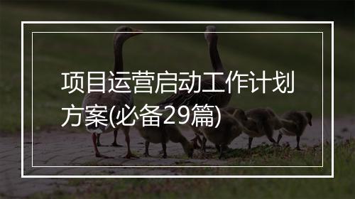 项目运营启动工作计划方案(必备29篇)