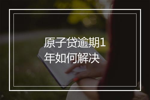 原子贷逾期1年如何解决