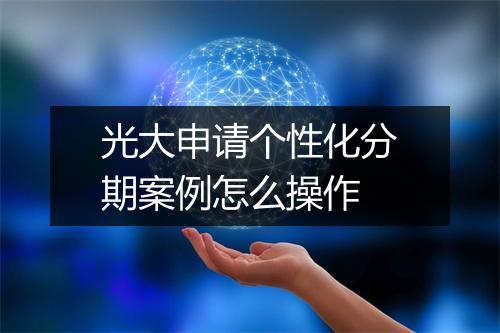 光大申请个性化分期案例怎么操作