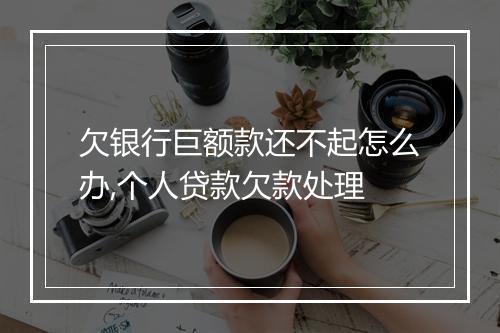 欠银行巨额款还不起怎么办,个人贷款欠款处理
