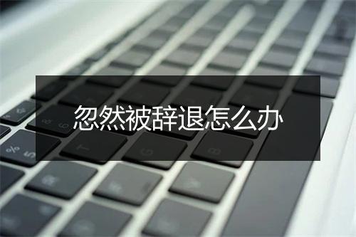 忽然被辞退怎么办
