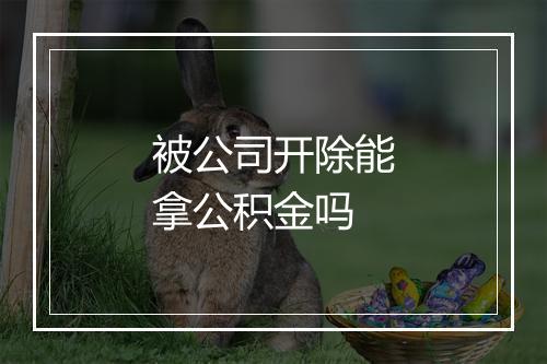 被公司开除能拿公积金吗