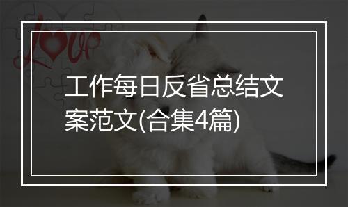 工作每日反省总结文案范文(合集4篇)