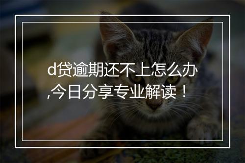 d贷逾期还不上怎么办,今日分享专业解读！