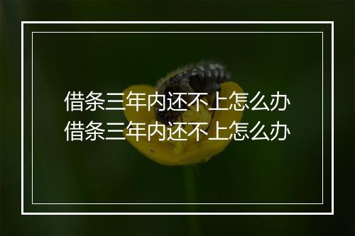 借条三年内还不上怎么办借条三年内还不上怎么办