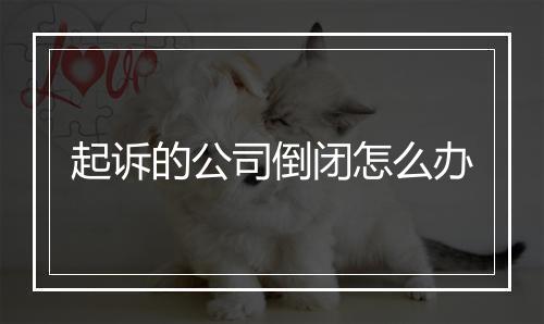 起诉的公司倒闭怎么办