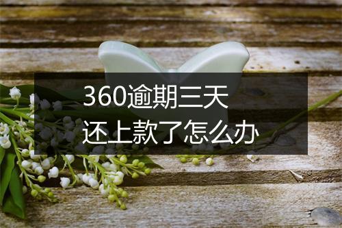 360逾期三天还上款了怎么办