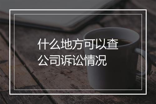 什么地方可以查公司诉讼情况