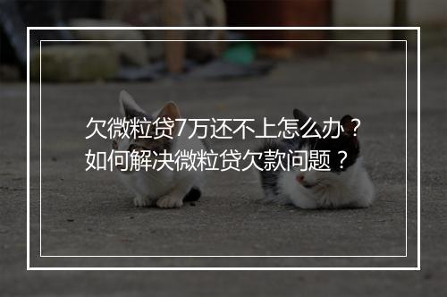 欠微粒贷7万还不上怎么办？如何解决微粒贷欠款问题？
