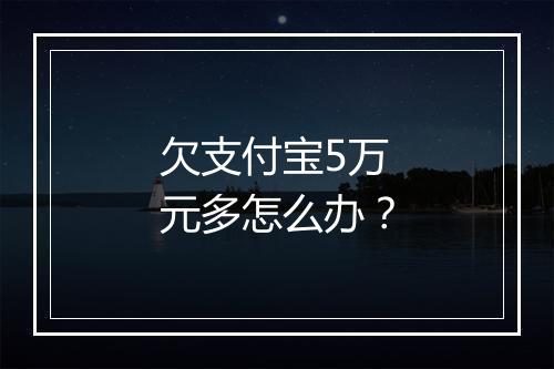 欠支付宝5万元多怎么办？
