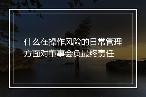 什么在操作风险的日常管理方面对董事会负最终责任