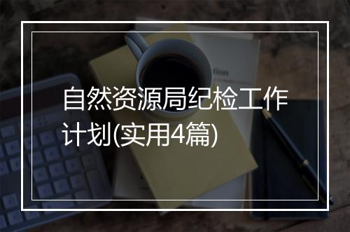 自然资源局纪检工作计划(实用4篇)