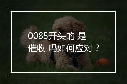 0085开头的 是催收 吗如何应对？