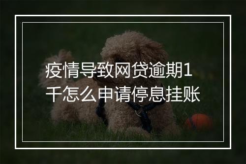 疫情导致网贷逾期1千怎么申请停息挂账