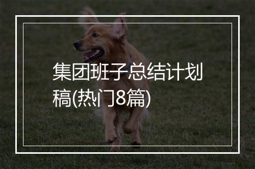 集团班子总结计划稿(热门8篇)