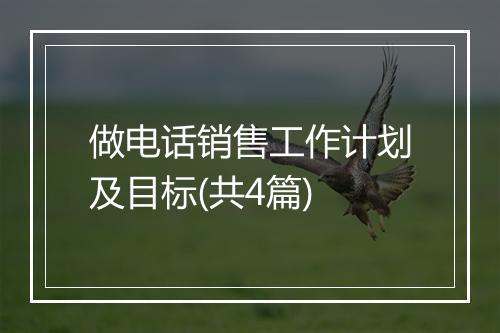 做电话销售工作计划及目标(共4篇)