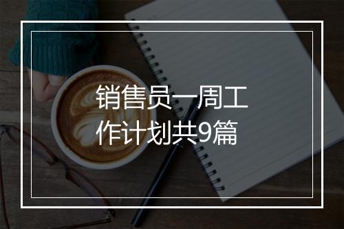 销售员一周工作计划共9篇