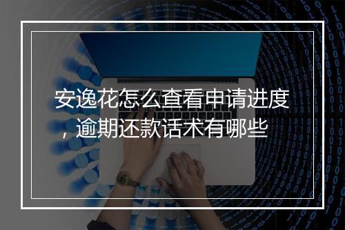 安逸花怎么查看申请进度，逾期还款话术有哪些