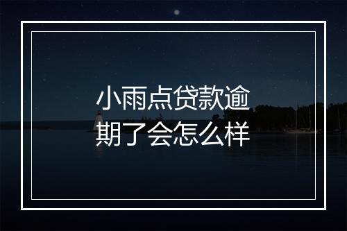 小雨点贷款逾期了会怎么样