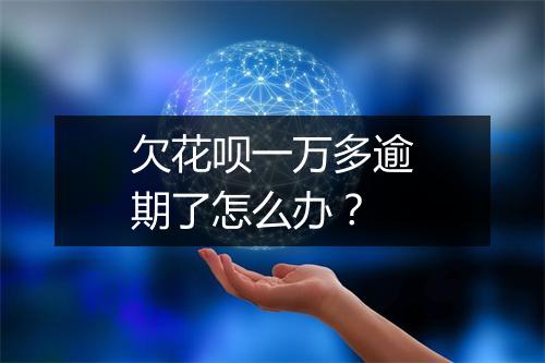 欠花呗一万多逾期了怎么办？