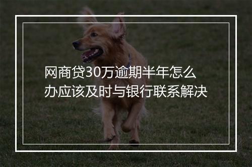 网商贷30万逾期半年怎么办应该及时与银行联系解决