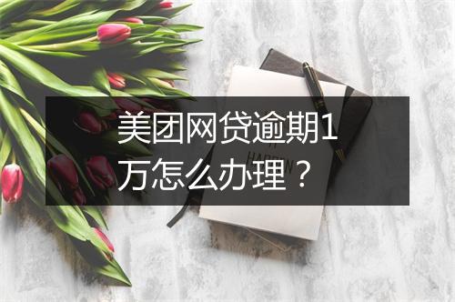 美团网贷逾期1万怎么办理？