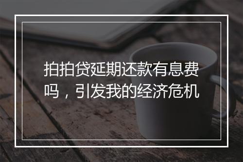 拍拍贷延期还款有息费吗，引发我的经济危机