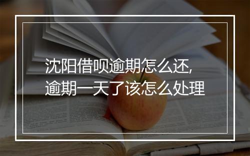 沈阳借呗逾期怎么还,逾期一天了该怎么处理