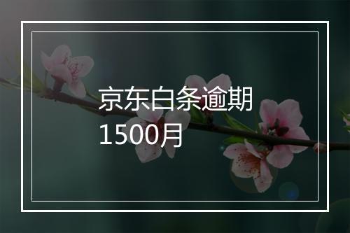 京东白条逾期1500月
