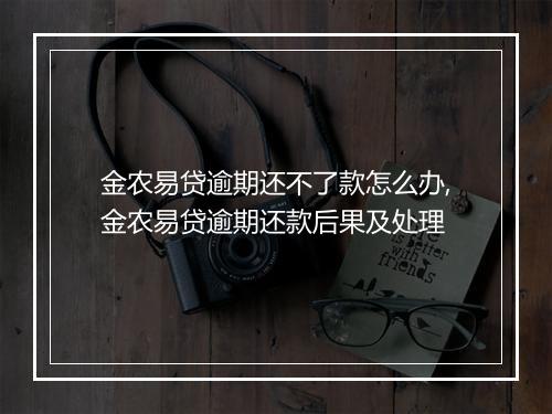 金农易贷逾期还不了款怎么办,金农易贷逾期还款后果及处理
