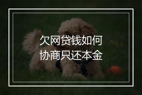 欠网贷钱如何协商只还本金