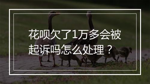 花呗欠了1万多会被起诉吗怎么处理？