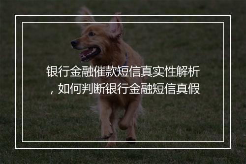 银行金融催款短信真实性解析，如何判断银行金融短信真假