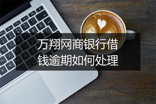 万翔网商银行借钱逾期如何处理