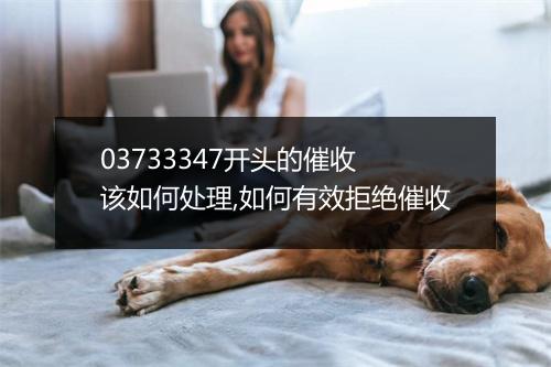 03733347开头的催收 该如何处理,如何有效拒绝催收