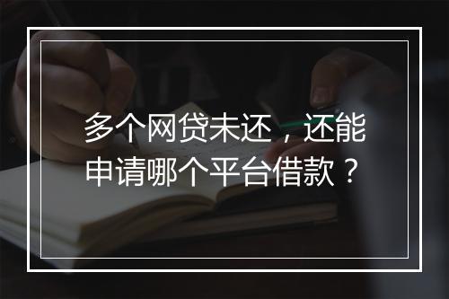 多个网贷未还，还能申请哪个平台借款？
