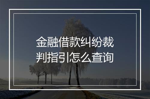 金融借款纠纷裁判指引怎么查询