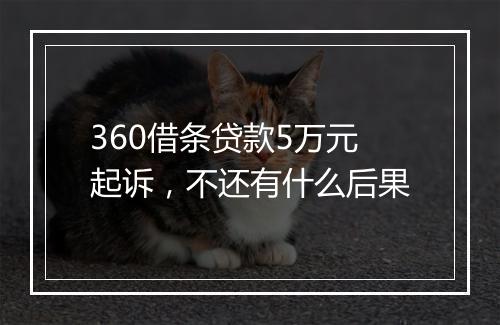 360借条贷款5万元起诉，不还有什么后果