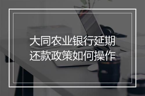 大同农业银行延期还款政策如何操作