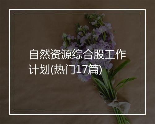自然资源综合股工作计划(热门17篇)