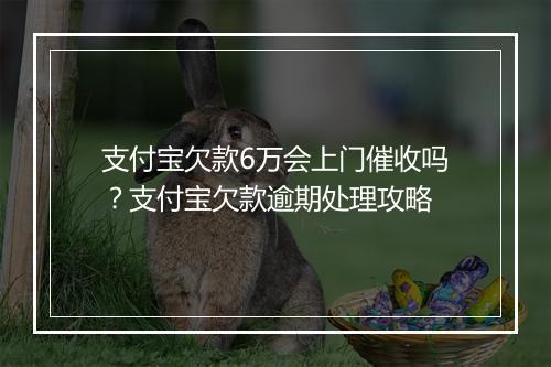 支付宝欠款6万会上门催收吗？支付宝欠款逾期处理攻略
