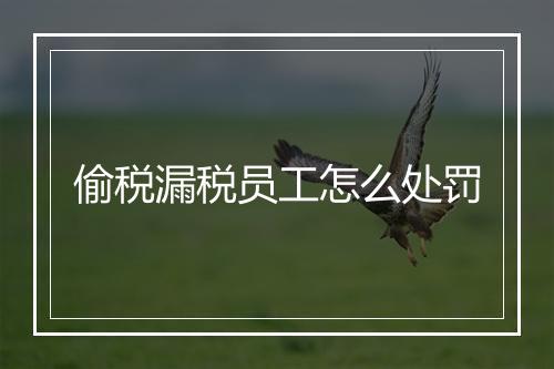 偷税漏税员工怎么处罚