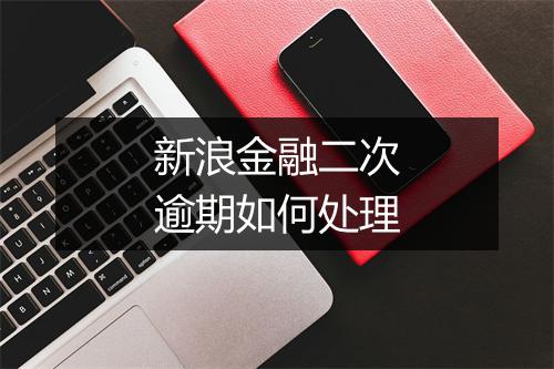 新浪金融二次逾期如何处理