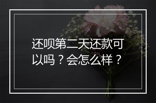 还呗第二天还款可以吗？会怎么样？