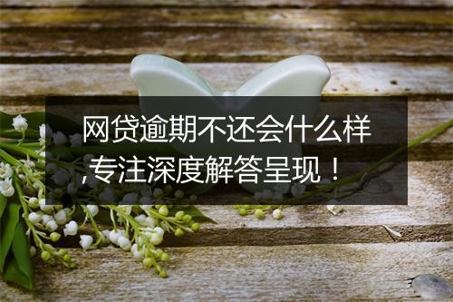 网贷逾期不还会什么样,专注深度解答呈现！